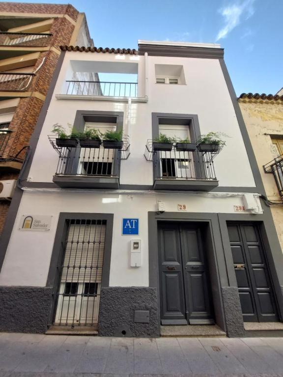 Apartamentos San Salvador Parking Gratis Мерида Екстериор снимка